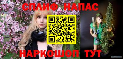 СК Заводоуковск