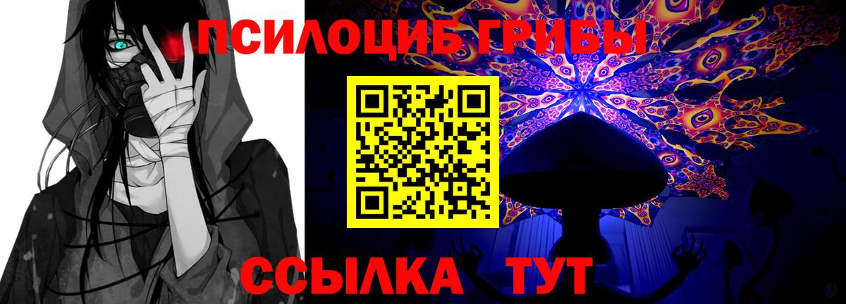 Псилоцибиновые грибы ЛСД Бузулук