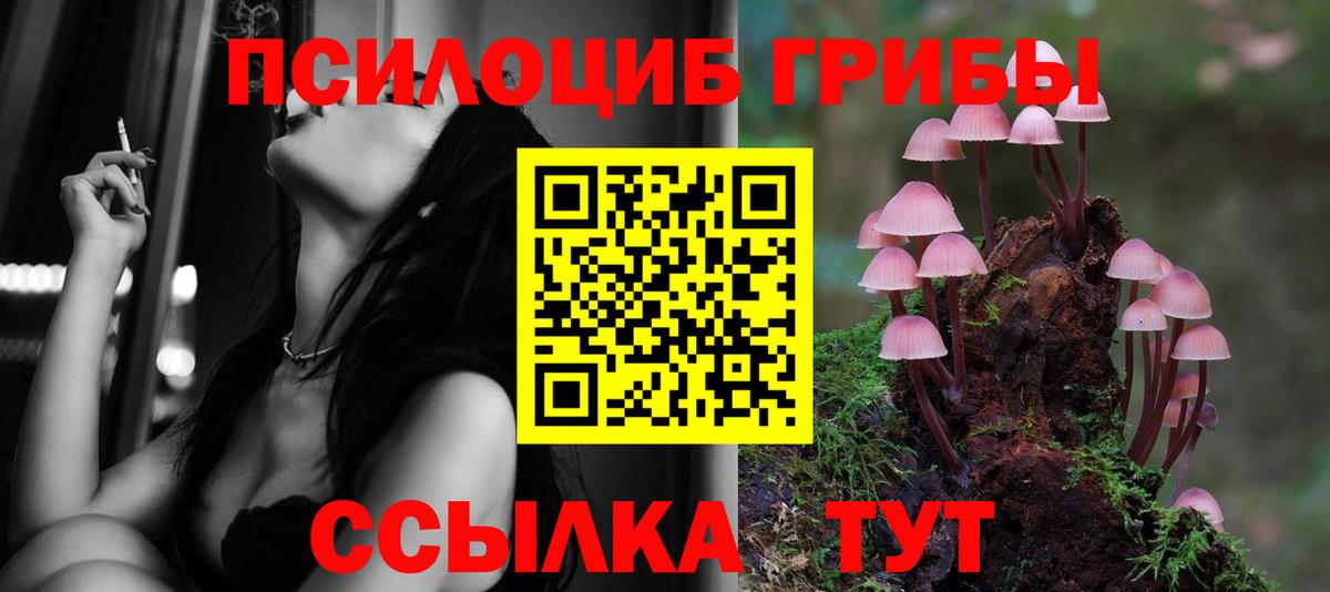 Псилоцибиновые грибы мухоморы  Вход с VPN  Бузулук 